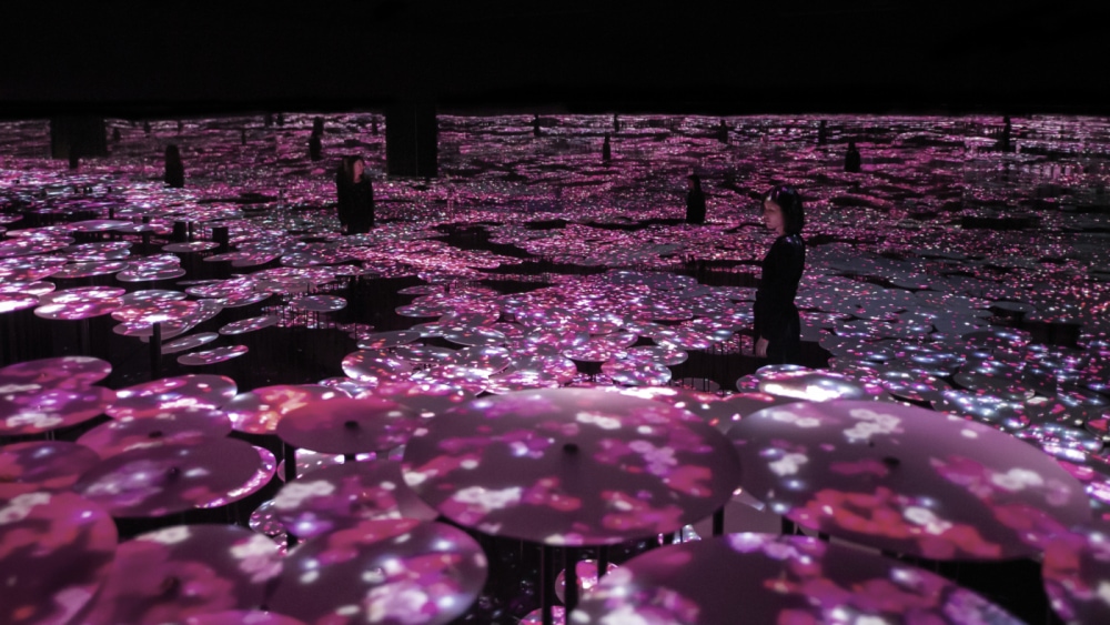 Installation: A dark mirrored room is filled with round stands at various heights. A light protection is shone onto these stands creating bright pink plum blossoms intermingled with flakes of snow. Two people stand within this room on separate paths.