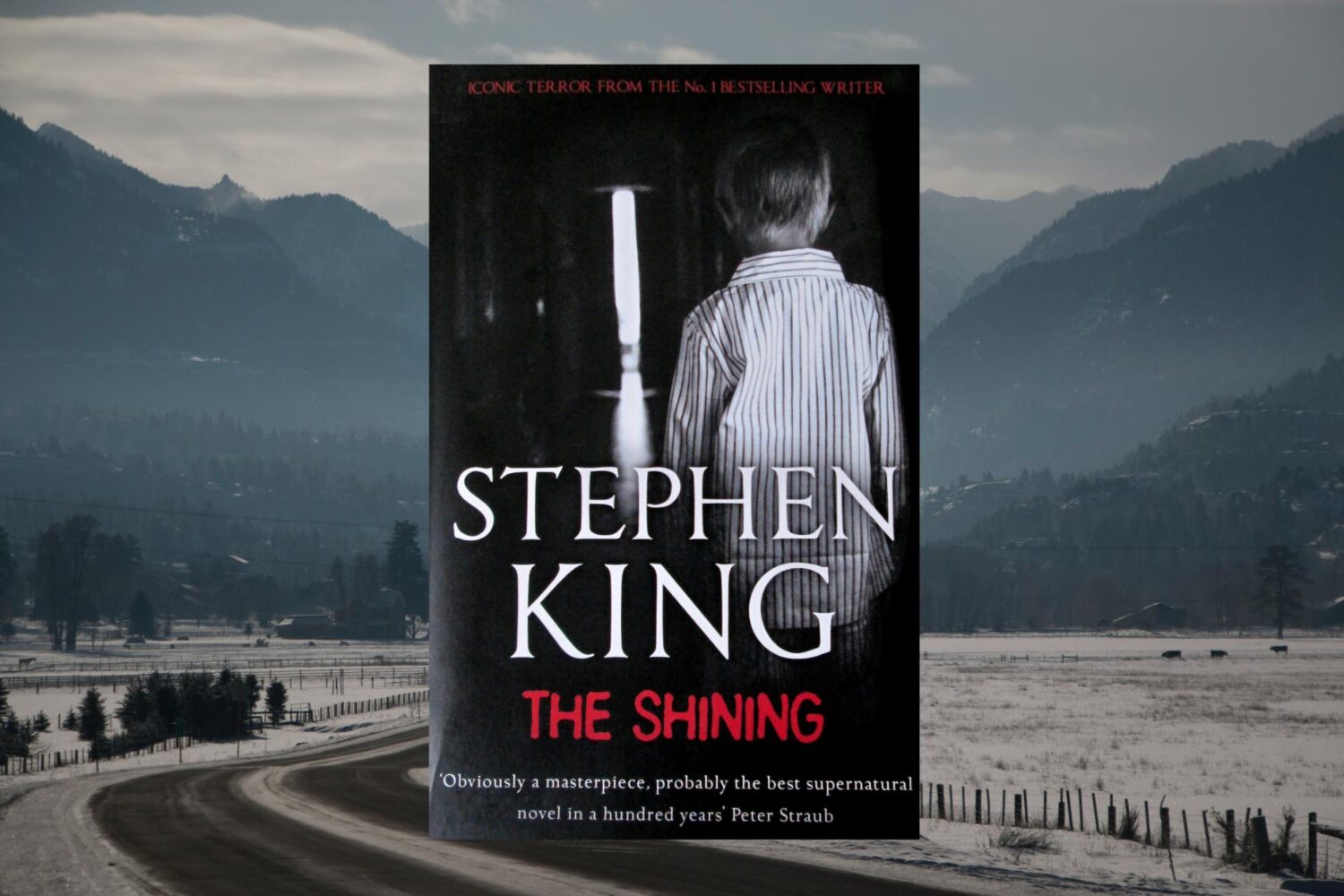 The Shining by Stephen King - Views Heard