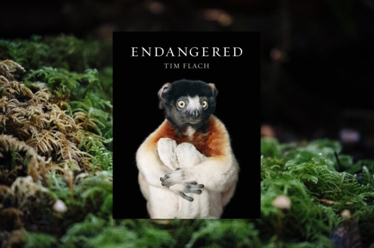 Book cover showing the primate species Crowned-Sifaka