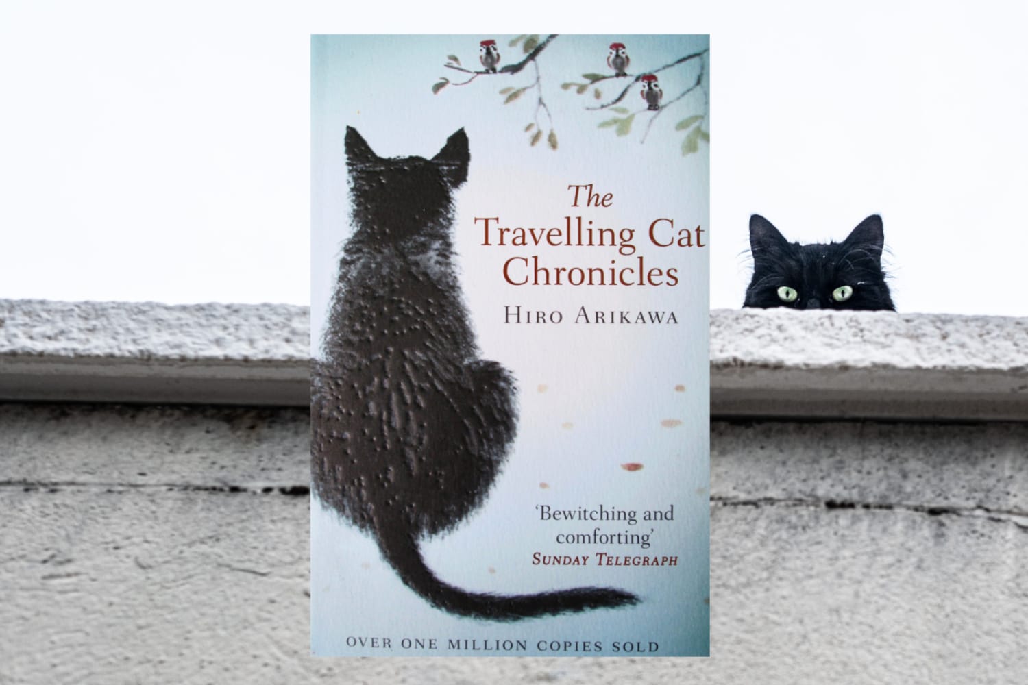 Book cover shows the illustration of a black cat - it's back to the reader.