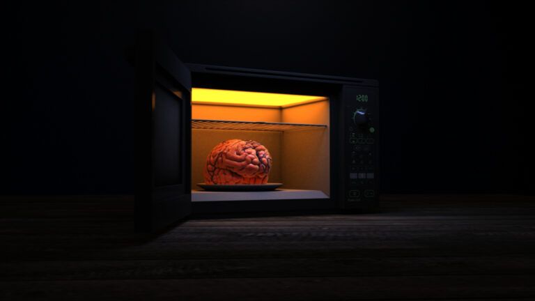 Photograph of a brain in a microwave